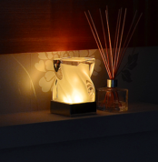 WaveGL ( IB-MP03 )_Curve-F-cordless-lamp-set-of-2-rechargeable-LED-battery-operated-remote-controlled-15